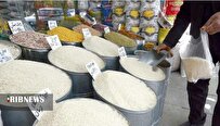 بی‌ثباتی قیمت برنج