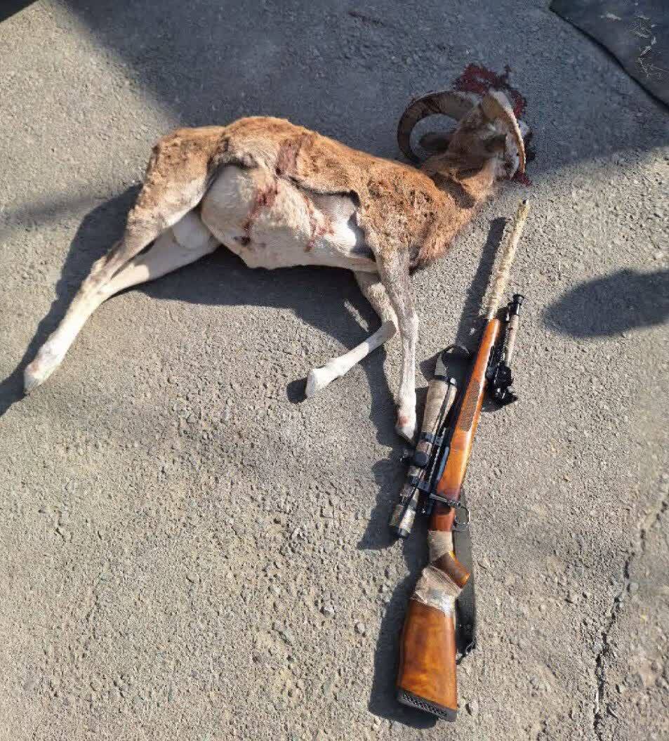 دستگیری شکارچیان غیرمجاز در سرخه