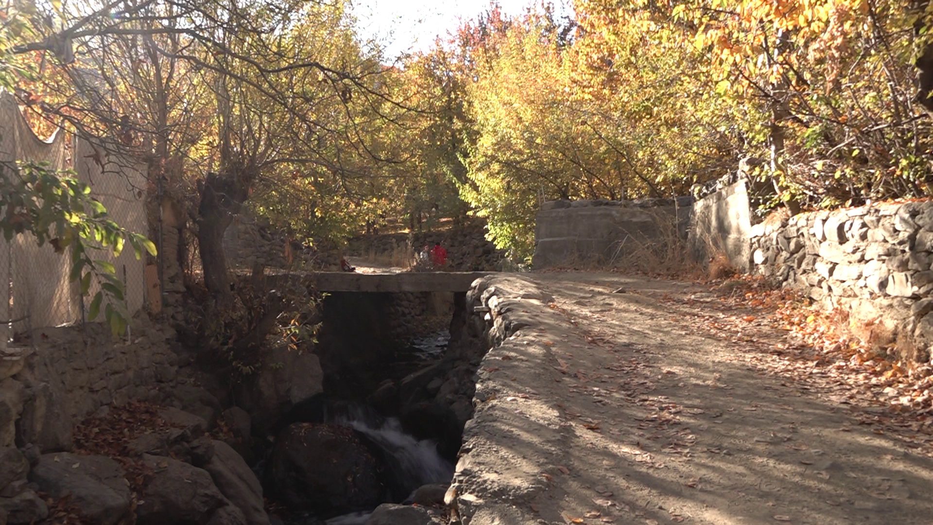 غوغای شگفت انگیز جشن رنگارنگ برگ ریزان در سیلوار همدان غوغای شگفت انگیز جشن رنگارنگ برگ ریزان در سیلوار همدان