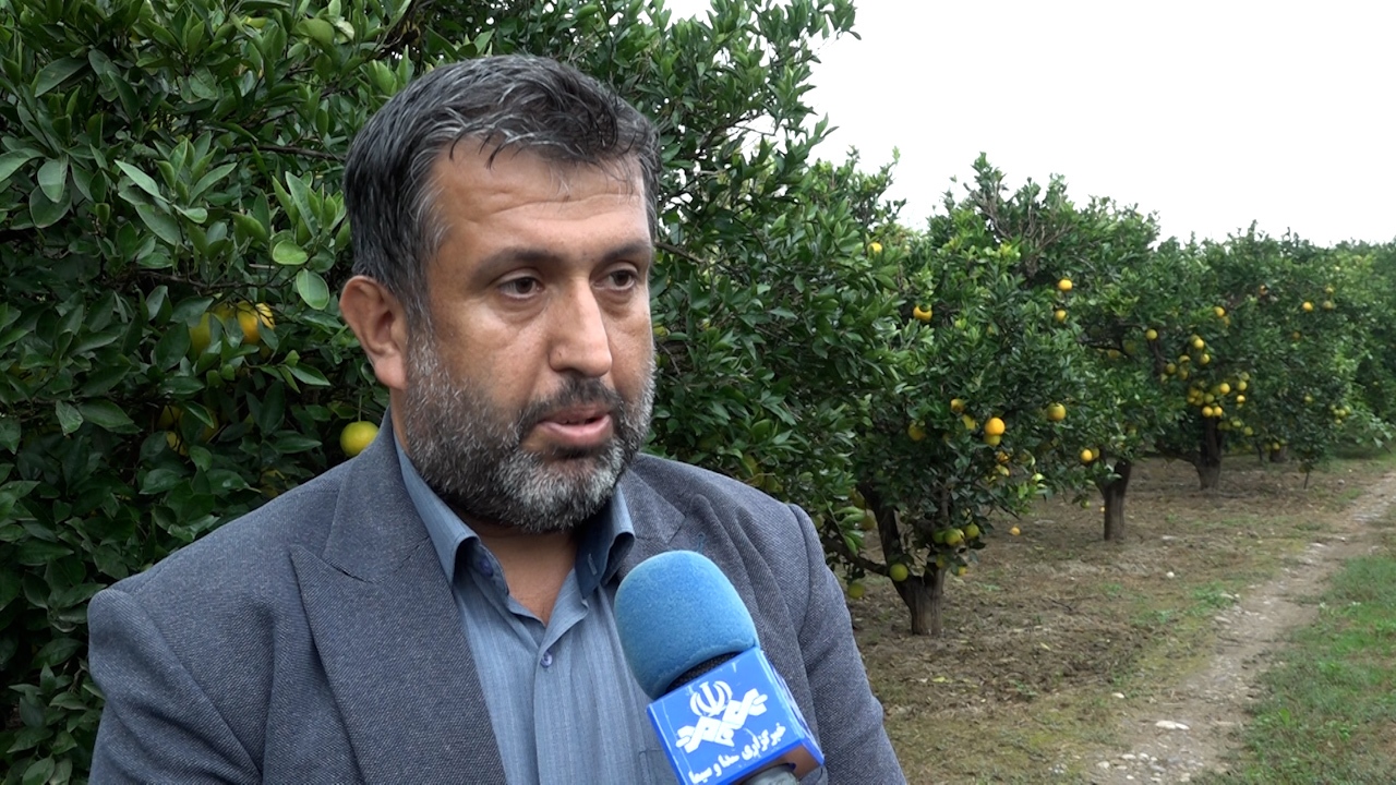 باران امید در مازندران