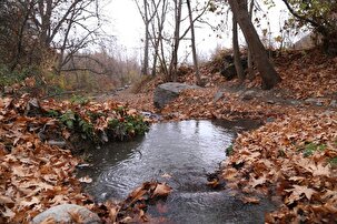 پاییز رویایی روستای گردشگری سینی‌کهنه شهرستان کلات