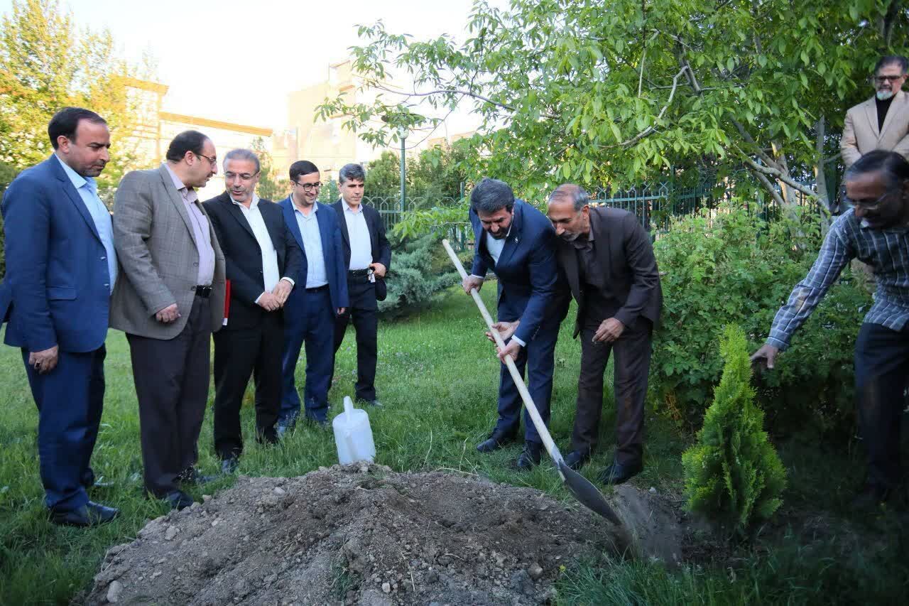 کاشت نهال به مناسبت گرامیداشت هفته روابط عمومی در همدان