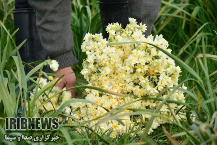 عکس:احمد طاهری