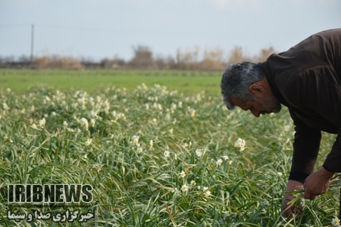 عکس:احمد طاهری