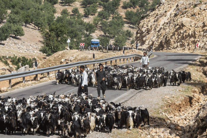 سنگ بزرگ تصرف ایلراه ها و پای لنگ عشایر